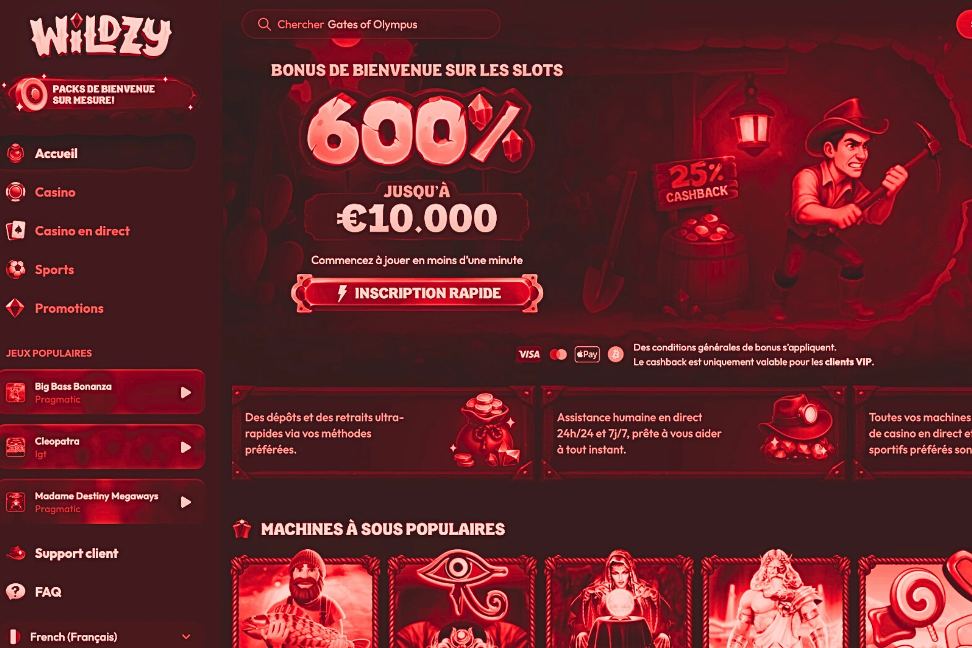 Page d&rsquo;accueil du casino en ligne Wildz avec pack de bienvenue sur les machines &agrave; sous, bonus jusqu&rsquo;&agrave; 10 000 &euro;, inscription rapide et s&eacute;lection de slots populaires.