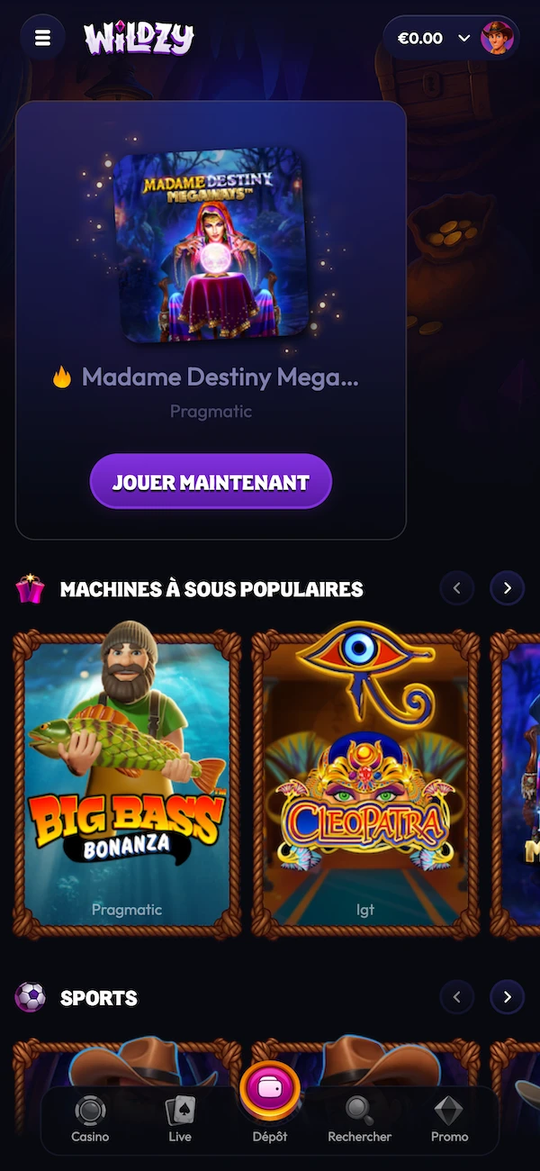 Page machines &agrave; sous du casino Wildzy affichant jeux Pragmatic, Play&rsquo;n GO et Microgaming en grille mobile.